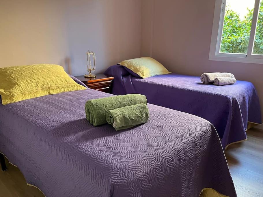 Triana Family Suites Севиля Екстериор снимка