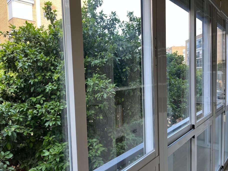Triana Family Suites Севиля Екстериор снимка